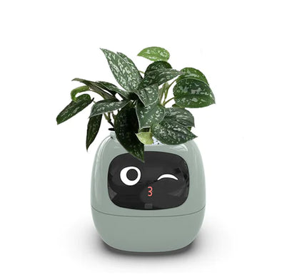 Smart Planter