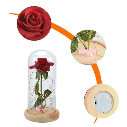 Enchanted Rose Lamp